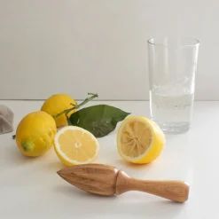 Kitchenline Sitruspresse<CHRISTIANIA 1739 Hot