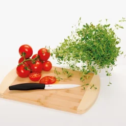 Porsgrunds Porselænsfabrik De Cuisson Grønnsakskniv 13 cm<PORSGRUNDS PORSELÆNSFABRIK Online