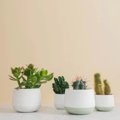 Porsgrunds Porselænsfabrik Nordic Light Lyslykt 10cm Hvit<PORSGRUNDS PORSELÆNSFABRIK Outlet