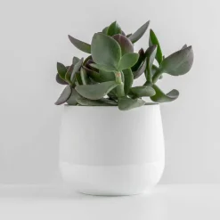 Porsgrunds Porselænsfabrik Nordic Light Lyslykt 10cm Hvit<PORSGRUNDS PORSELÆNSFABRIK Outlet