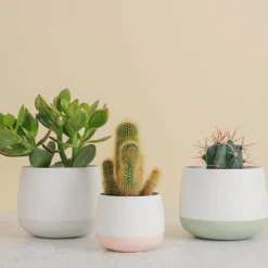 Porsgrunds Porselænsfabrik Nordic Light Lyslykt 10cm Hvit<PORSGRUNDS PORSELÆNSFABRIK Outlet