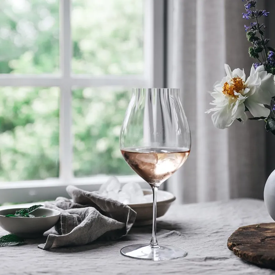 Performance Pinot Noir 2pk<RIEDEL Online