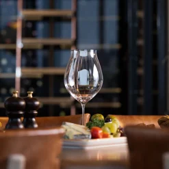 Performance Vinglass Pinot Noir 4pk<RIEDEL Discount