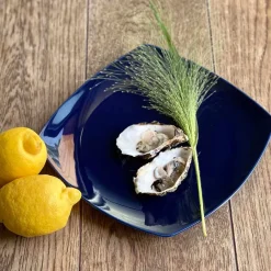 Sense Cobalt Tallerken Firkant 27cm 4pk<PORSGRUNDS PORSELÆNSFABRIK